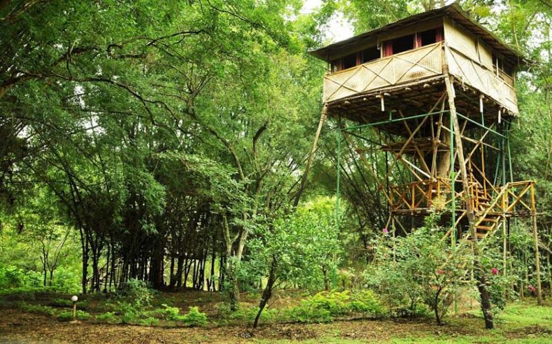 Best Tree House Resorts In India